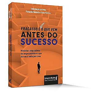 Livro Fracasso e Apenas o Que Vem Antes do Sucesso: Historias Inspiradoras de emp - Dolabela/moreira