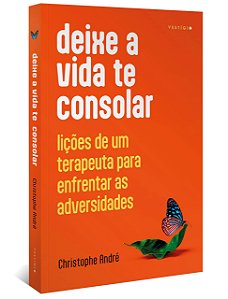 Livro Deixe a Vida te Consolar - Licoes de Um Terapeuta para Enfrentar as Adversi - Andre