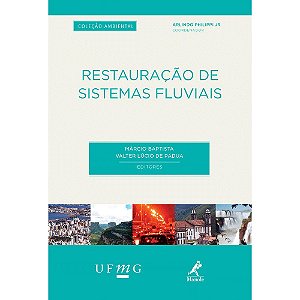 Livro Restauracao de Sistemas Fluviais - Baptista/padua
