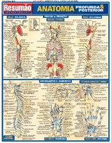 Livro - Anatomia Profunda & Posterior - Resumao - Fischer