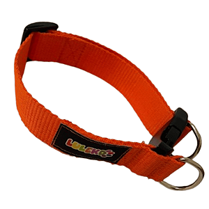 Coleira Básica Luleko - Laranja