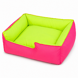 Caminha Neon Divertida