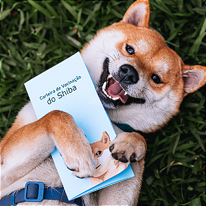Carteira de Vacinação - Shiba Inu