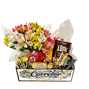 Kit Labor - Profissões