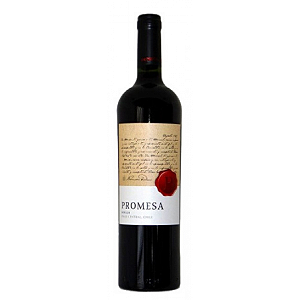 Vinho Tinto Chileno Merlot Promesa 750ml