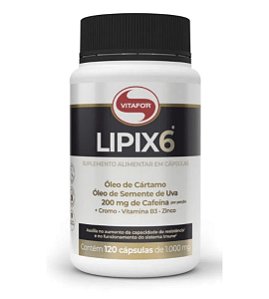 LIPIX6 120 de 1g Vitafor