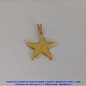 PINGENTE NO BRUTO PRONTO BARA O BANHO - (3742)PESO TOTAL 1.4GR ESTRELA DO MAR 20MM C/ 1 ARGOLINHA - BRU000111