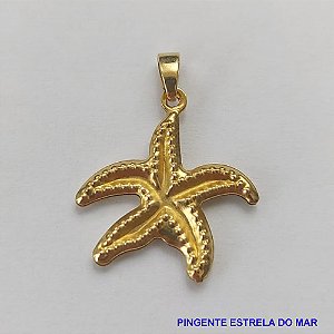 PINGENTE BRUTO PRONTO PARA BANHO (TQ350) PINGENTE ESTRELA DO MAR 14MM PESO TOTAL 0,57GR - BRU8985