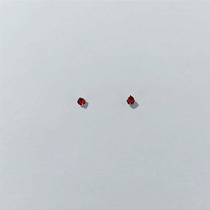BRINCO EM AÇO INOXIDÁVEL - BRINCO AÇO INOX STRASS VERMELHA 2,5MM (BRI0153/3) - COMPOSIÇÃO: AÇO INOXIDÁVEL - AÇO3019