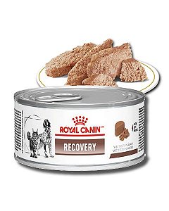SoulCat - Royal Canin Recovery é sem dúvidas o melhor aliado na recuperação  de cães e gatos, pois oferece um alto teor de energia por porção. Isso  auxilia seu pet naquele momento