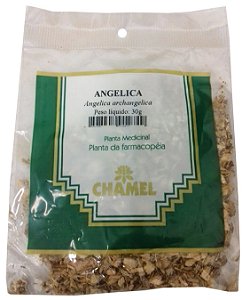 Chá sachê 30g Angelica Raiz - Chamel