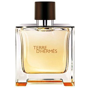 Terre D'hermès Eau de Toilette - Perfume Masculino 