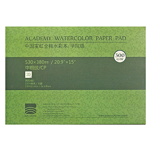 Bloco 53x38 Aquarela Baohong Academy Textura Fina 300g 20 Folhas