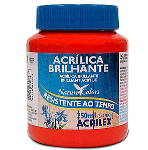 Tinta Acrílica Brilhante Acrilex 250 ml - 507 Vermelho Fogo
