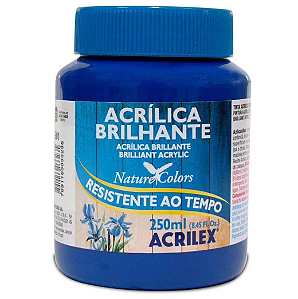 Tinta Acrílica Brilhante Acrilex 250 ml - 501 Azul Turquesa