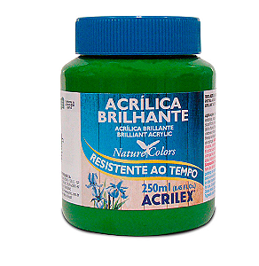 Tinta Acrílica Brilhante Acrilex 250 ml - 513 Verde Musgo