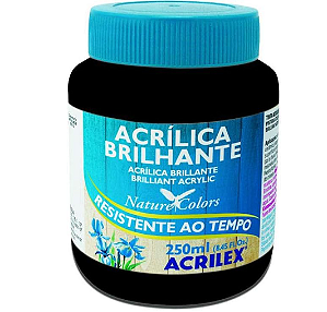 Tinta Acrílica Brilhante Acrilex 250 ml - 520 Preto