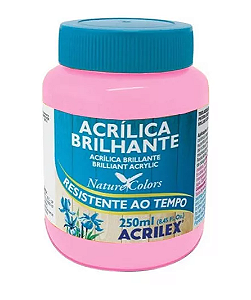 Tinta Acrílica Brilhante Acrilex 250 ml - 537 Rosa
