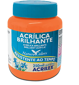 Tinta Acrílica Brilhante Acrilex 250 ml - 517 Laranja