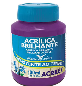 Tinta Acrílica Brilhante Acrilex 250 ml - 516 Violeta