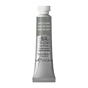 Tinta Aquarela Profissional Winsor & Newton Tubo 5ml S1 - Davy's Gray (217)