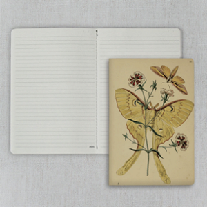 Journal Pautado 20x13,5cm 64 Páginas Folk Books - Lepidópteros de Westwood