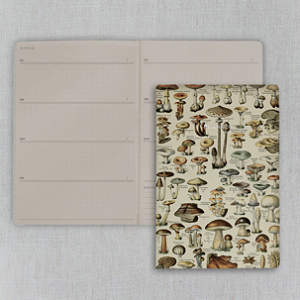 Planner Atemporal Pontilhado para 12 Meses Folk Books - Cogumelos