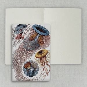 Journal Sem Pauta 20x13,5cm 64 Páginas Folk Books - Medusas