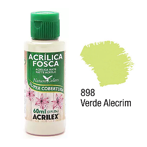 Tinta Acrílica Fosca Acrilex 60mL - Verde Alecrim (898)
