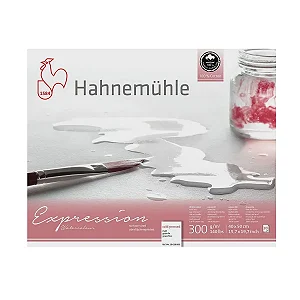 Bloco de Papel de Algod]ao Expression Hahnemuhle 300g Fina 40x50 20fls