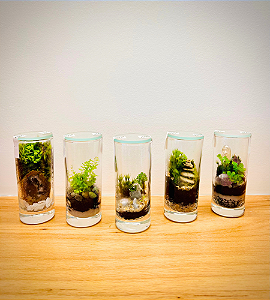 TERRARIO COPO MINI