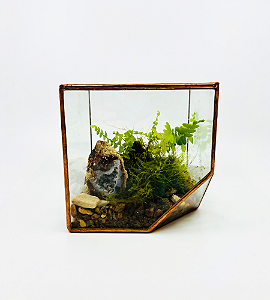 TERRARIO CUBO MEDIO