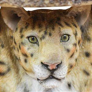 MESA LEOPARDO P
