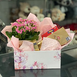 Cesta Chocolate e Flor