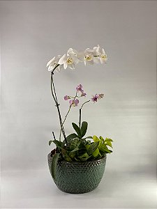 Orquídeas Branca e Lilás com Mix de Verdes em Vaso Cerâmico