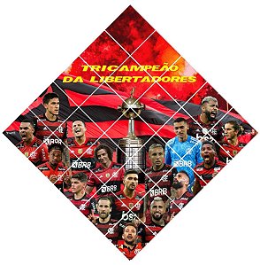 Quadro do Flamengo Tricampeão da Libertadores 3D Mosaico 25 Peças