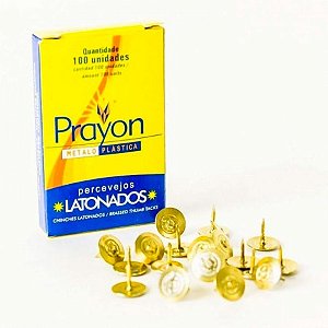Percevejos Latonados