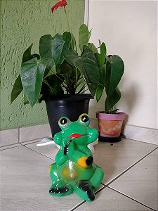 Enfeites de jardim : sapo