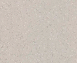 Piso Vinílico Homogêneo Forbo - 50028 greige