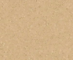 Piso Vinílico Homogêneo Forbo - 50024 stone