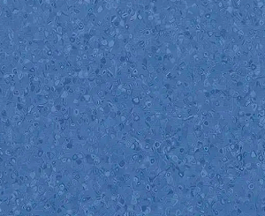 Piso Vinílico Homogêneo Forbo - 50038 blueberry