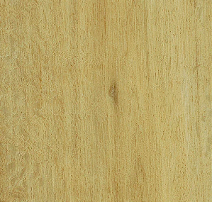 5113AD8 summer harvest oak (100x16.6 cm)