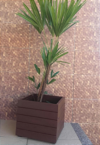 Vaso Madeira Rústico Não é Segredo Marrom 40x36