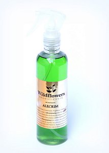 Home Splay 240ml Aroma Alecrim