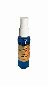 Aromatizante para carro Hegeo