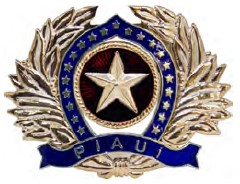 DISTINTIVO DE QUEPE - OFICIAL / PM PI