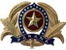 DISTINTIVO DE QUEPE - OFICIAL / PM PR