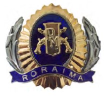 DISTINTIVO DE QUEPE - SD / CB PM RR