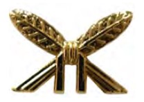DISTINTIVO DE GOLA - ESCRITA