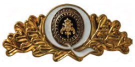 DISTINTIVO DE QUEPE - QUALIDADE TOTAL PM PA